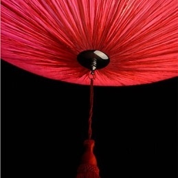 Lotus Leaf Moderné morské plátno umenie Droplight of Red Lamps Lamp Light