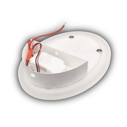 Slivka vyrezávaná akrylová drhnúť nástenné svetlo Okrúhle tvarované nočné lampy Chodba Svetlá Teplá biela AC220V