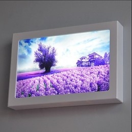 Integrovaná funkcia moderného súčasného moderného súčasného maľovania pre nástenné svietidlá s okolitým svetlom