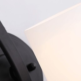 Funkcia modernej súčasnej maľby pre nástenné svietidlo s okolitým svetlom