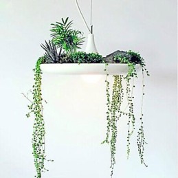 Moderné súčasné iné kovové závesné svietidlo