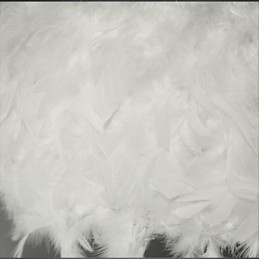 Hot Selling Dia Fashion Feather Luster Modern Light