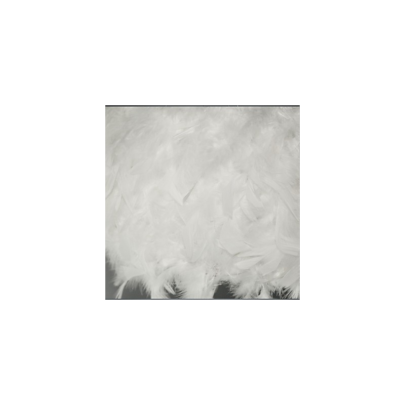 Hot Selling Dia Fashion Feather Luster Modern Light