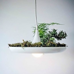 Hliníkové závesné svietidlo Nordic Creative Zmluvné lampy a lucerny Sky Garden Light Žiadna pôdna rastlina