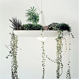 Hliníkové závesné svietidlo Nordic Creative Zmluvné lampy a lucerny Sky Garden Light Žiadna pôdna rastlina