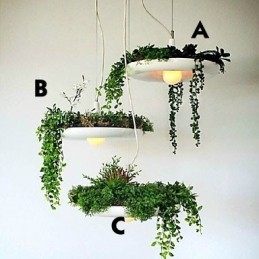 Hliníkové závesné svietidlo Nordic Creative Zmluvné lampy a lucerny Sky Garden Light Žiadna pôdna rastlina